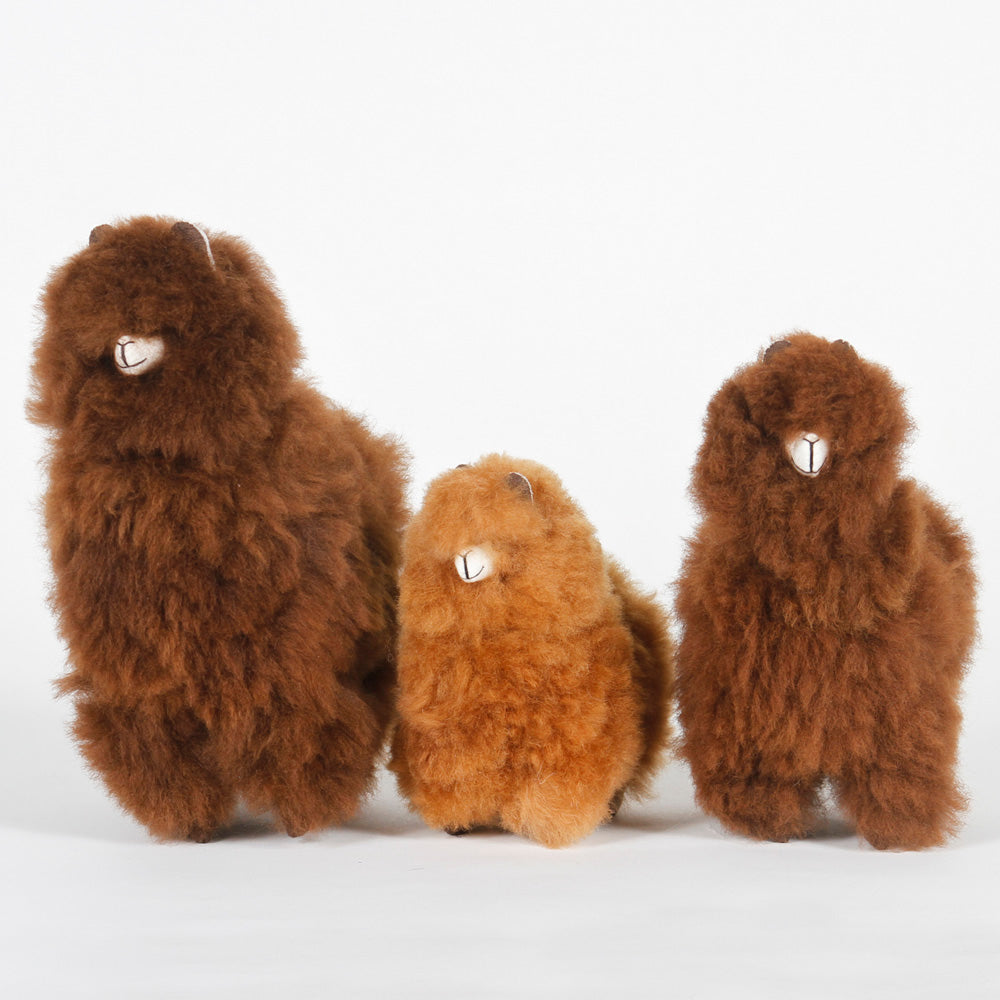 Alpacas