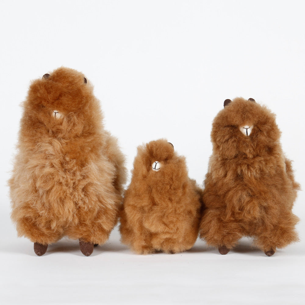 Alpacas