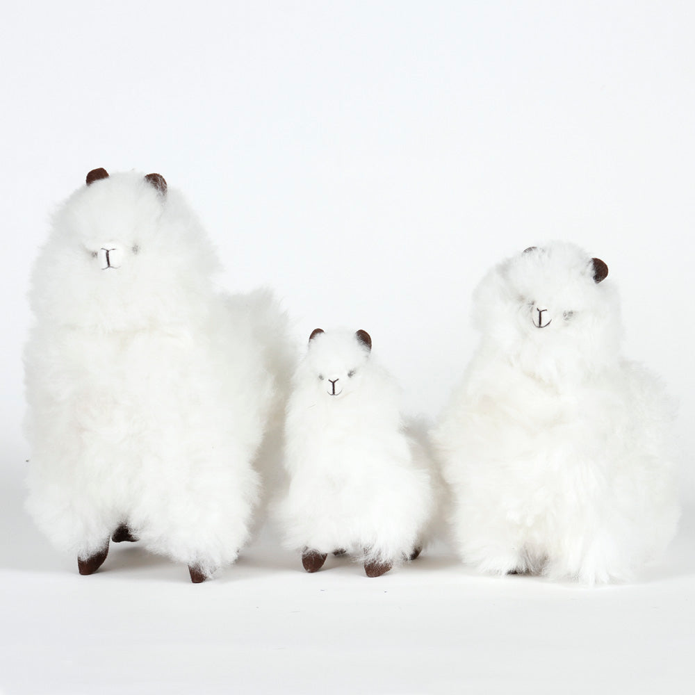 Alpacas