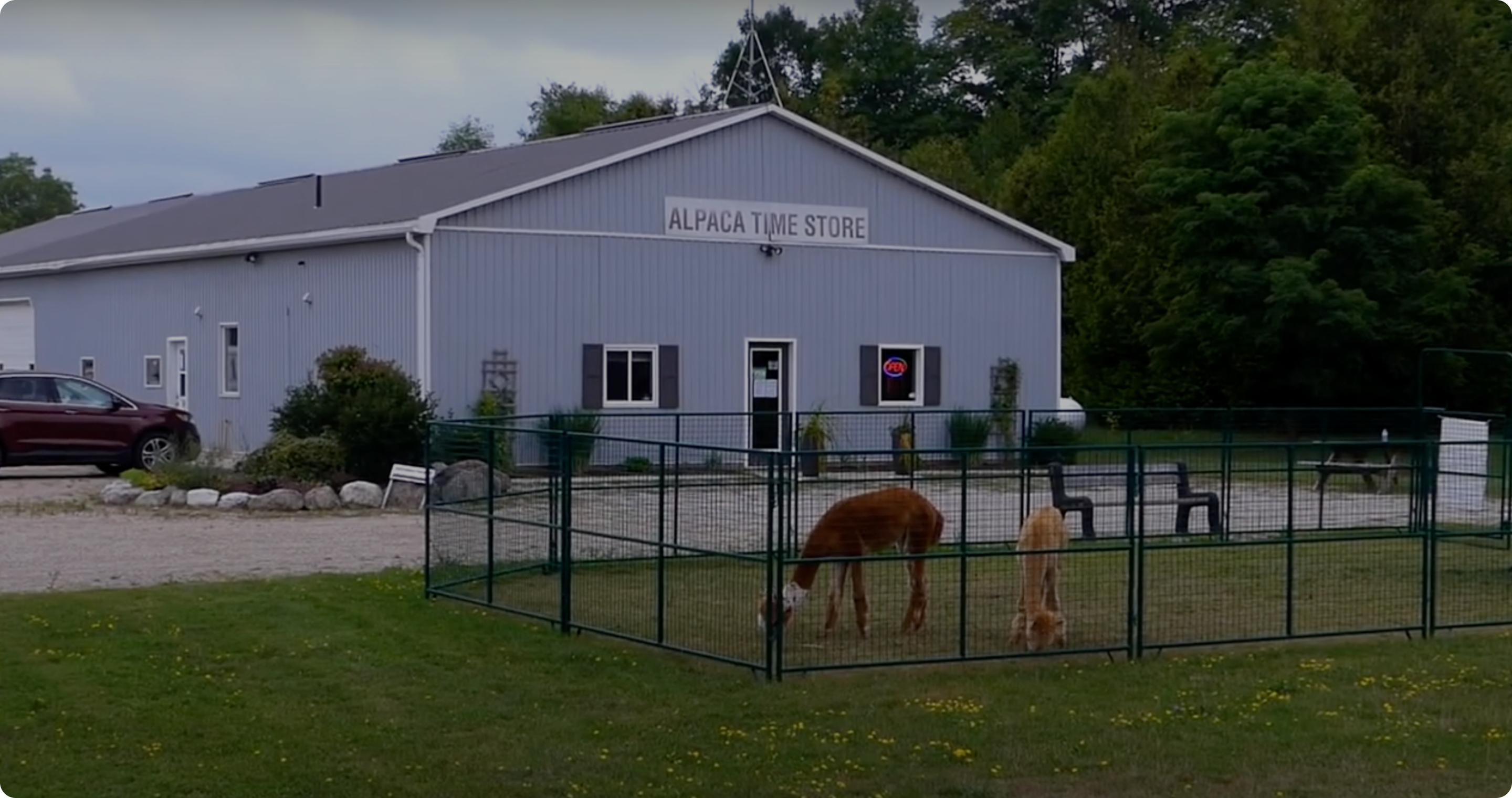 Alpaca Time Store