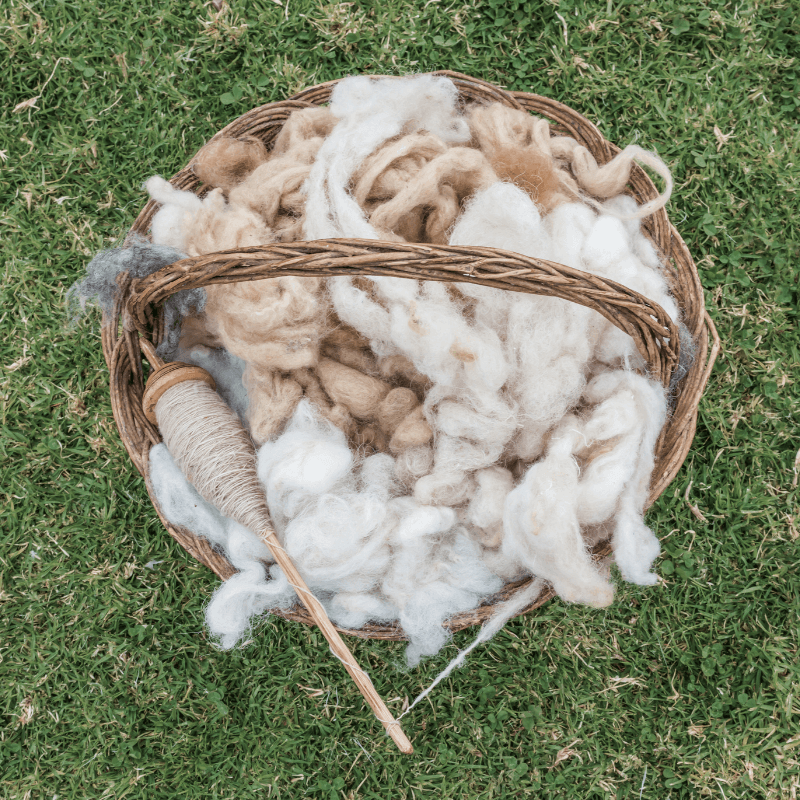 Alpaca fiber processing